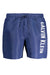 Calvin Klein Blue Mens Bottom Costume